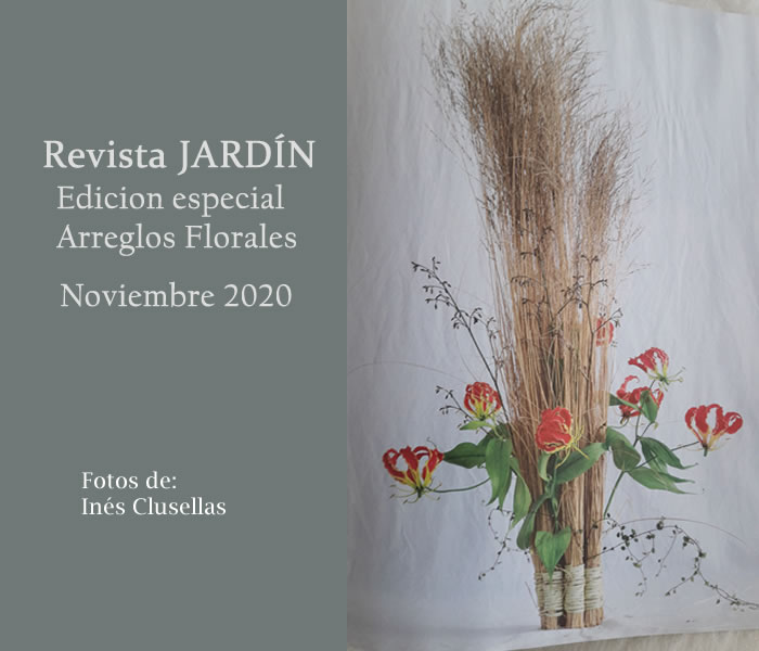 Emilia Nardi - Revista Jardin Noviembre 2020